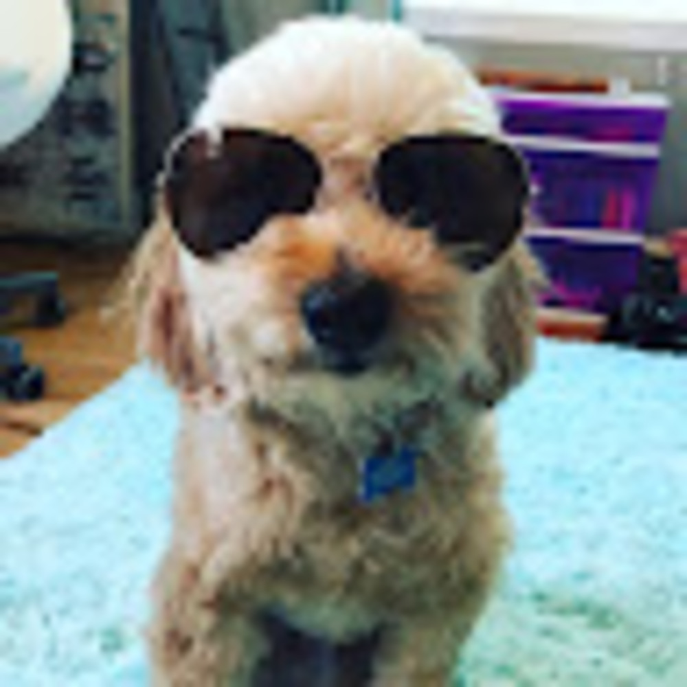 Meet your Posher, Lola